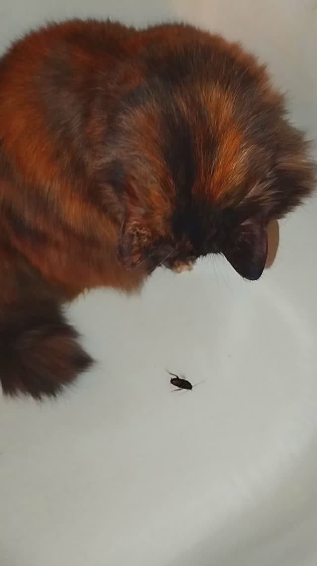 01abb5a7dfc29c59fb7ccb18c41169b7