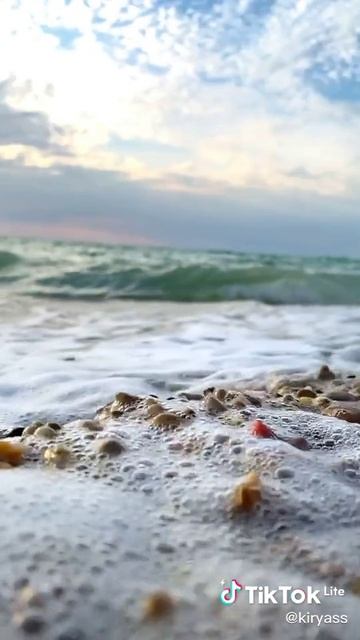 7c5db84e43cd062f8e00596a7faff349_1776540514402.mp4