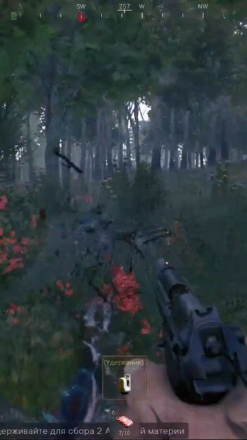 Встреча с Природой