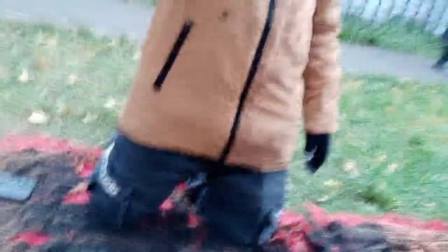 пикник на природе