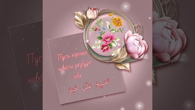 VID-20260418-WA0003.mp4