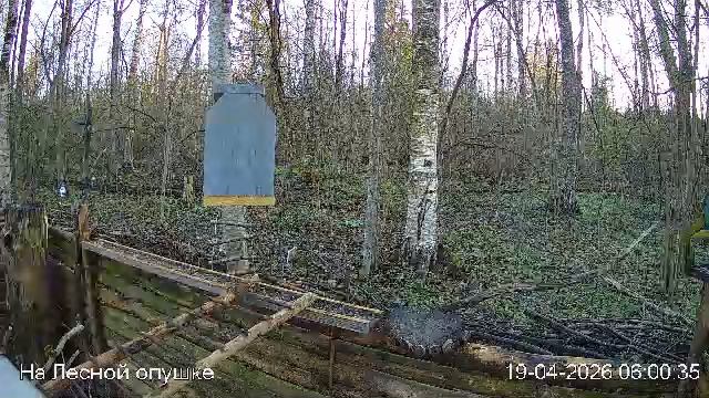 07a48180458b34b4ba47b5ef16172373