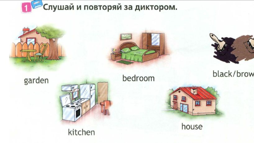 2 класс. Английский язык. (Англ. в фокусе). Мои игрушки!  Домашнее задание. Страница 80, 81-