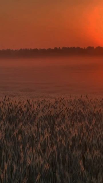 Алый закат ❤️

#cover #алыйзакат #сергейлазарев #moodvideo #кавер