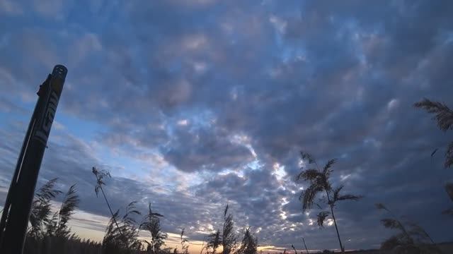 3647ad8bf81f48da3796a4b46be01e47