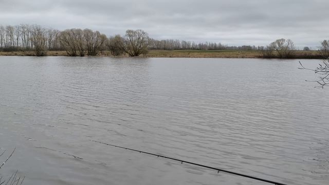 682087a68a3cdeea655f52a7afebe73a