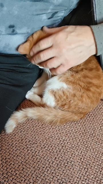 Вот и папу дождался