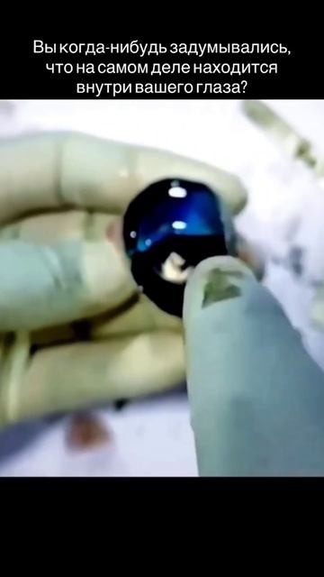 1125ea189928653b0f235af1b1bd1097