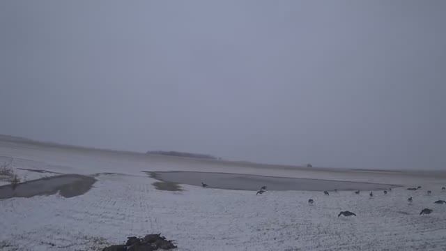 4d2c10f75572663dba4f89c147c52c3d