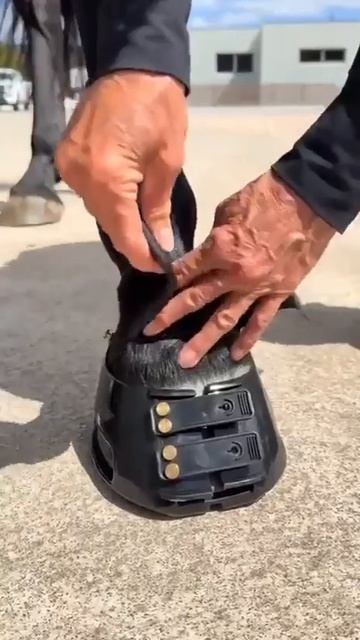 Кроссовки для коней