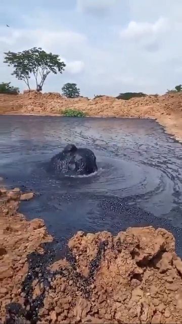 Вот это зрелище_ в Африке нефть выходит на поверхность земли