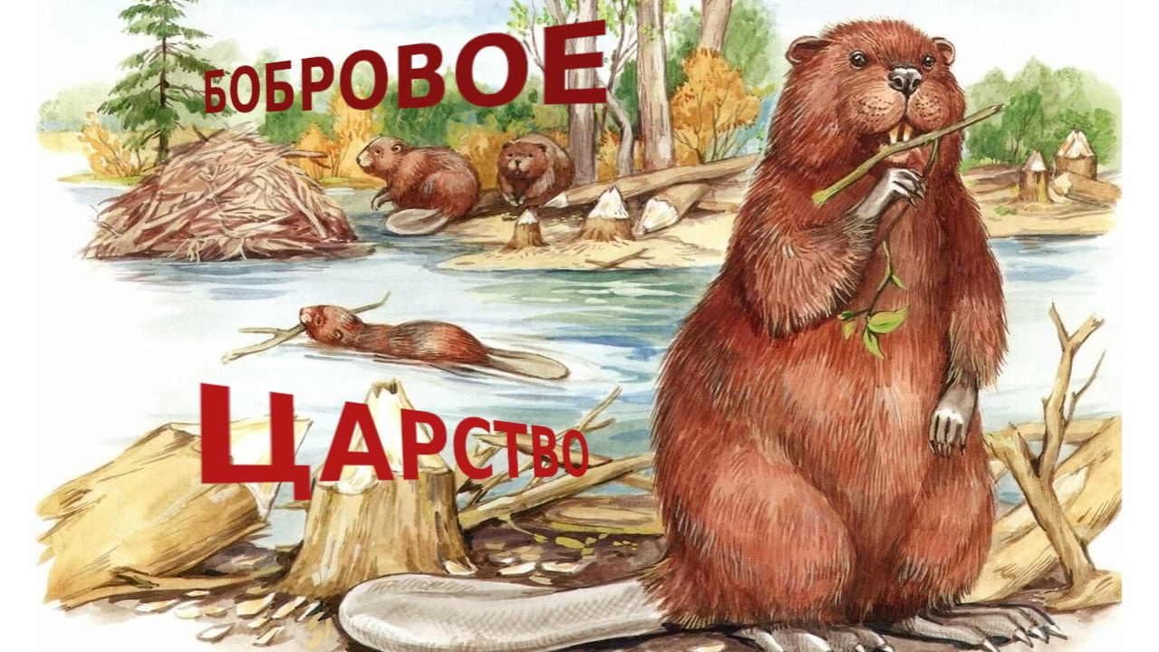Бобровое Царство