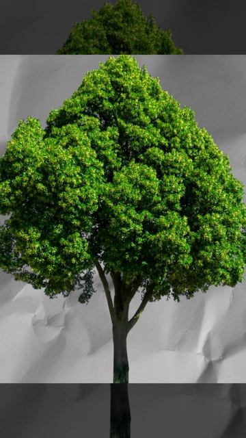 Газобетон или брус — что лучше для вашего дома Ответ внутри!