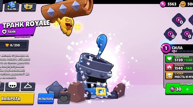 250 на Рико 1 катка