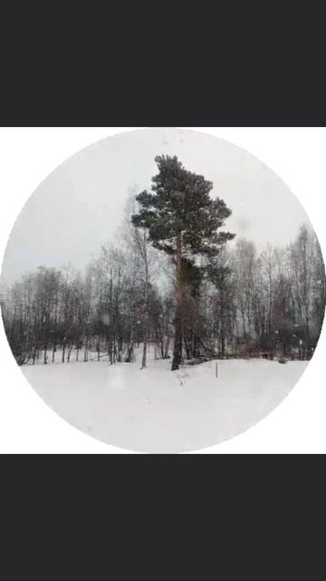 Опять зима....Где весна.....19-04-2026