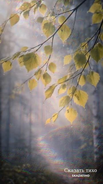 Ещё майская ночь - Фет А. А.