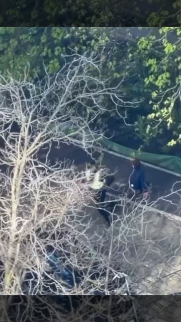 A8fb30d94816b78907906ed41c39a0b6