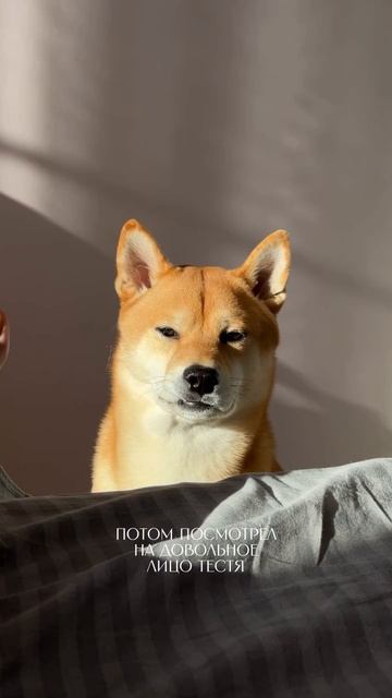 Сосиска в Тесте