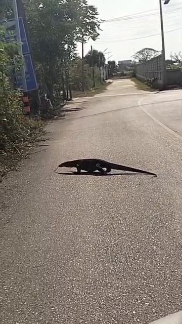 0a63989d47d6160a4cf48e9830673b50