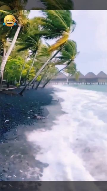 Когда оформил банкротство😄но система дала сбой😆👍