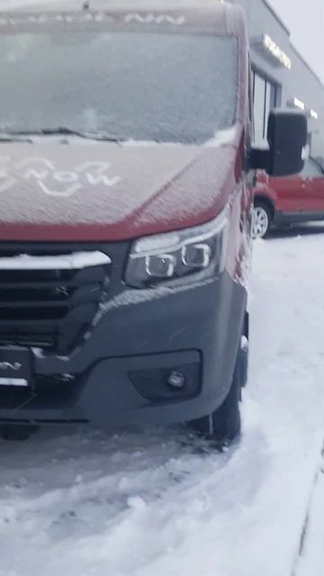 206. #соболь #газ #газель