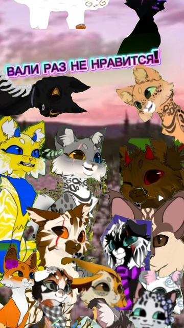 Изменила коллаб