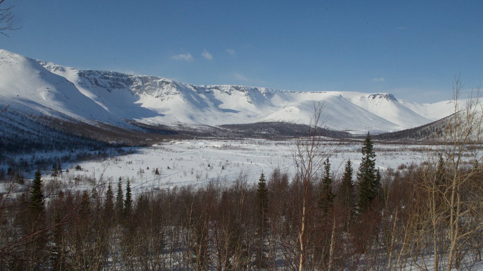 4a7b4387c8a70c22b49e7b0a2c1672c1