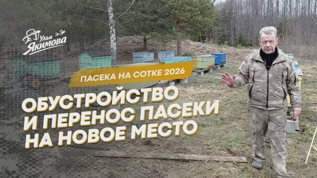 Пасека на сотке 2026. Обустройство и перенос пасеки на новое место