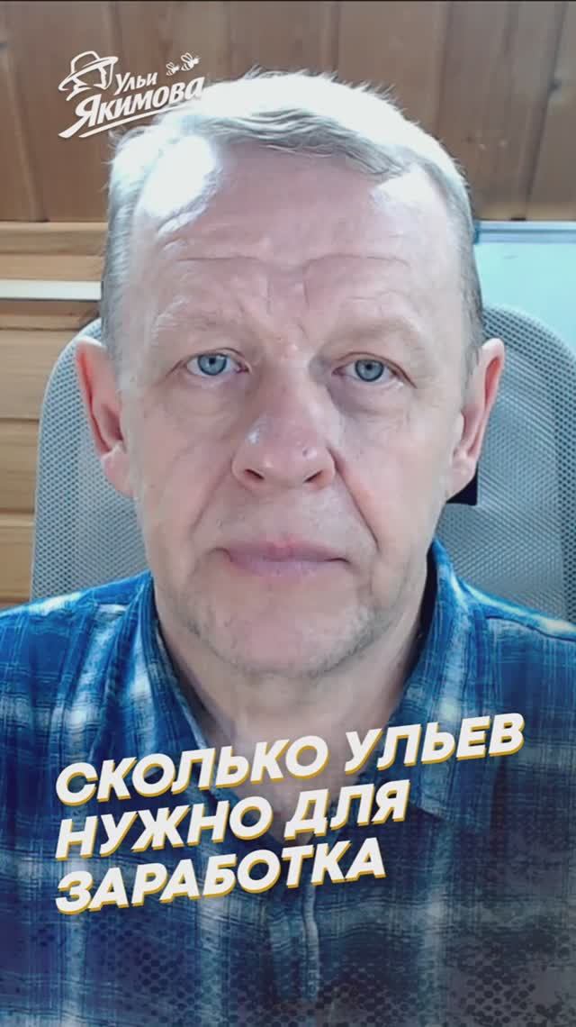 Сколько ульев нужно для стабильного дохода