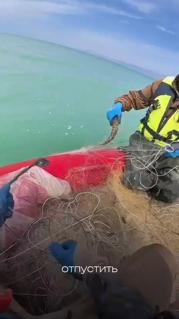 Видео от За Трофеем: Охота и Рыбалка