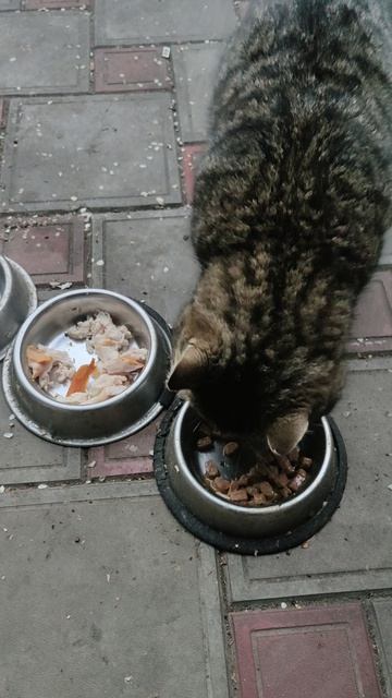 B9b3a00e3db001a36e84229f79bca8ec