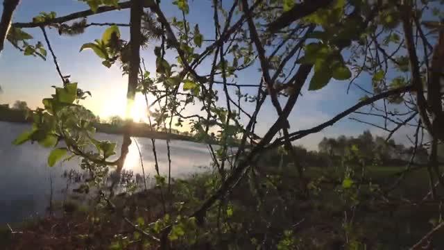 12e9c2f3189b605ca680663153c29813