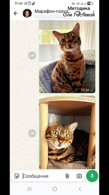 Марафон, чат ♡ Похудеть.
Марафон. Меню.