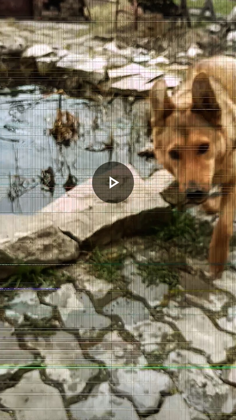 Сидим в огороде