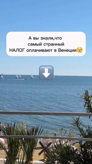 Самый странный налог