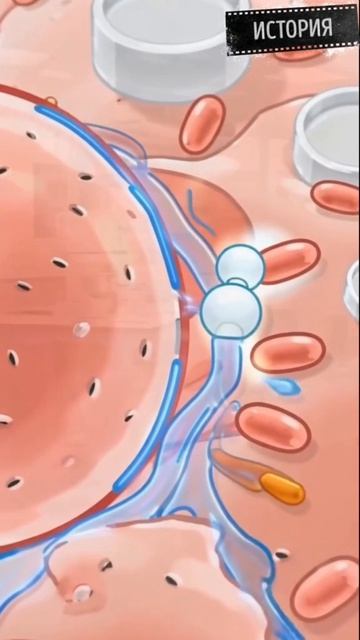 Adcae3d6004d6ac9703ace75c13c7a6c