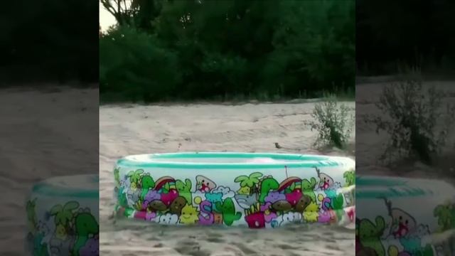 Смешиваем соду, моющее средство, ментос и газировку