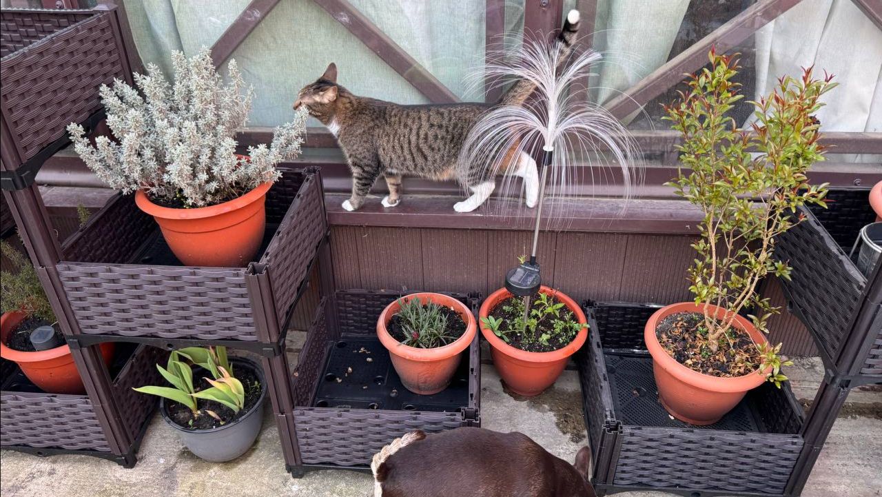 Небольшой субботник организовали, установили клумбочки.