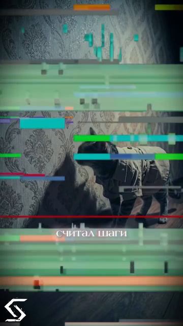 Детектив ШерлоКот