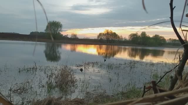 0878336784ce09ac7e9b22d210aea64b