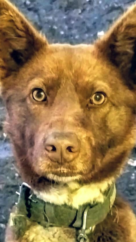 Мишка и солнышко! 🌞 #животные 19-04-2026