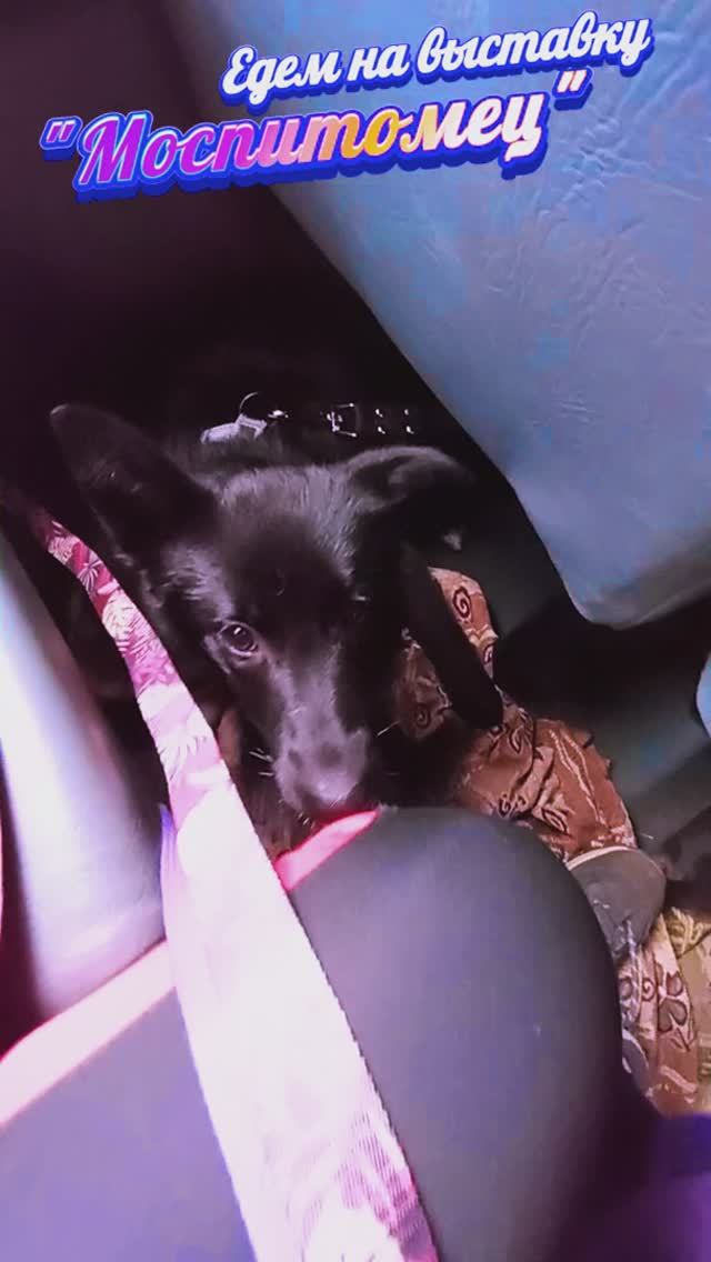 F7da3097edfa1d7e5e8bb5d8b129acb1