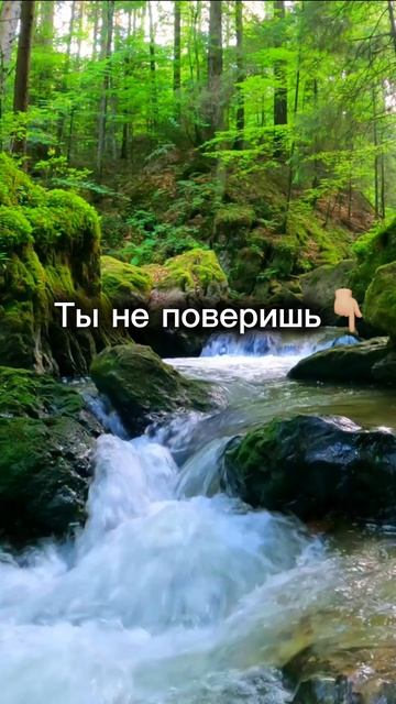 ШОК…. Смотри не листай