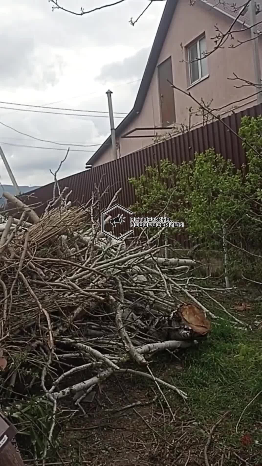 Отсутствие контроля, регулярной уборки и вывоза мусора, это прямой результат бездействия ответств...