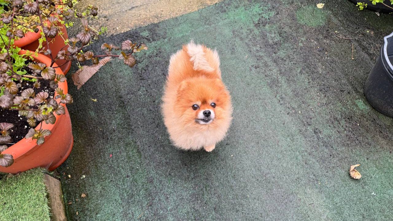 Встречают меня малыши из поликлиники.