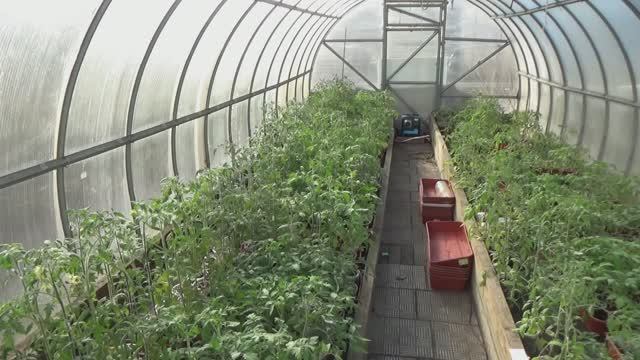 Наконец  то у нас ЛЕТО! 15 17 20 24 градуса тепла! 19 апреля 2026 года.