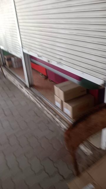 цены в Макеевке на рынке