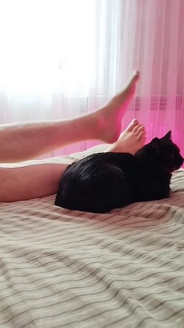 #село #кот #черныш #животные #голос #мысли #мысливслух #cat