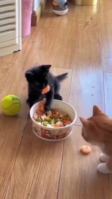 подборка маленькой милоты