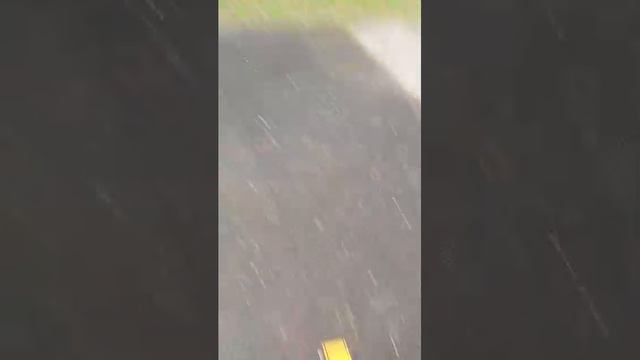 гулянки чееееек